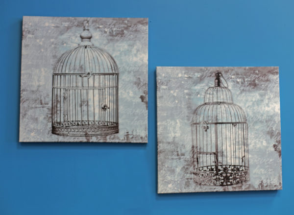 Bird Cage Wrapped Canvas Art Set